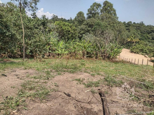 Imagem 4 de 11 de 2.100 M², Belíssimo Terreno Próximo A Rodovia !!