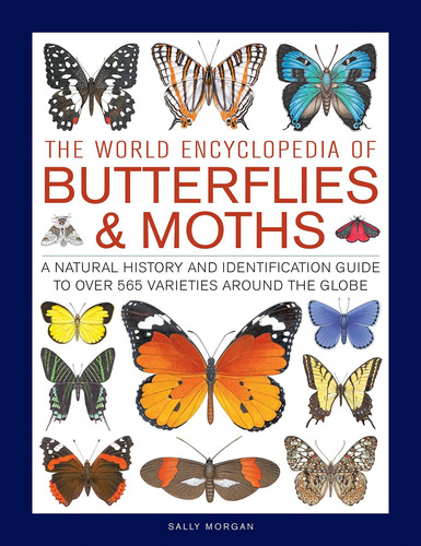 Libro: The World Encyclopedia Of Butterflies & Moths: A And