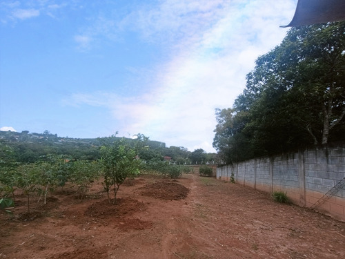 Sítio Completo À Venda Em Santa Isabel/sp 7.500m2 R$950.000