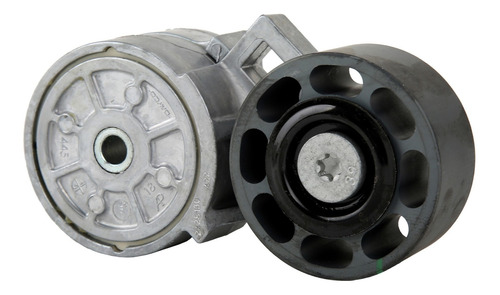 Polea Tensora De Accesorios Vn L6 15.0l 00 A 03 Kg 6621556