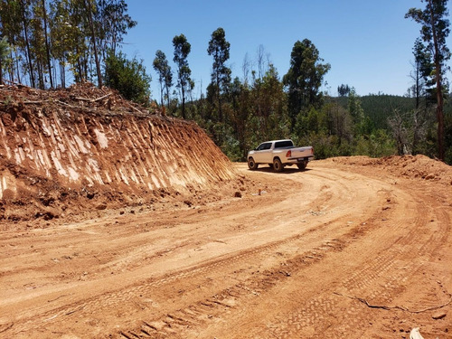 Imagen 11 de 13 de Parcelas Copiulemu Ruta 146 Km 27