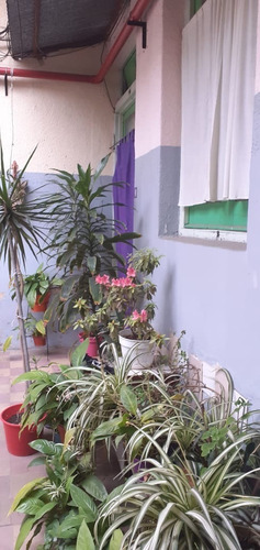 Alquiler De Habitaciones En Hotel Familiar