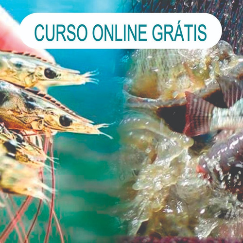 Imagem 2 de 6 de Kit Tanque 6.5 M3, Geo 0.8 Mm ,+testes, Fertilizantes +curso