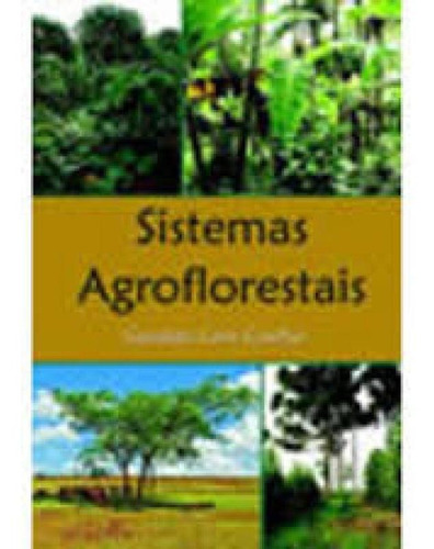 Sistemas Agroflorestais: Sistemas Agroflorestais, De Coelho G. C.. Editora Rima - Editora Ribeiro Martins, Capa Mole Em Português