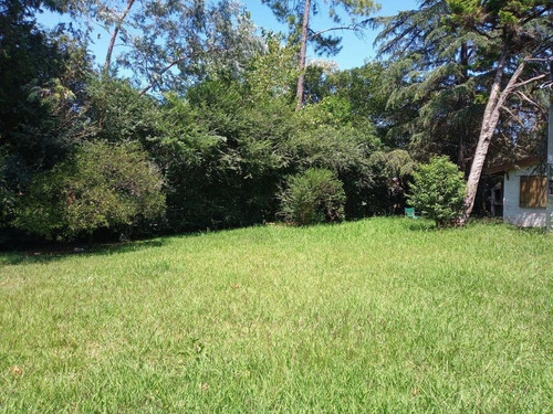 Imagen 2 de 9 de Vendo Casa Quinta En Pilar