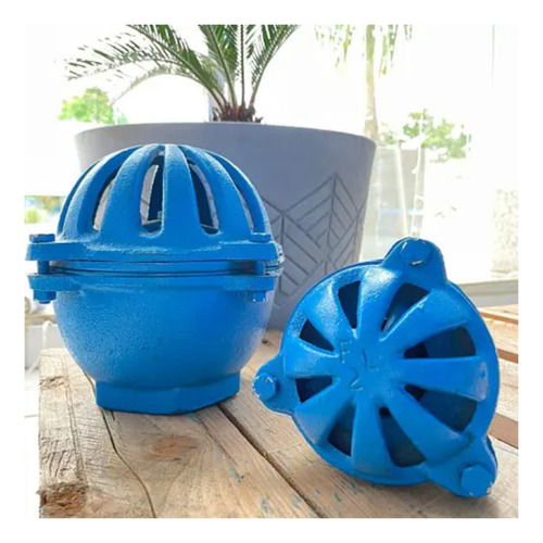 Valvula De Pé Tipo Cebola Ferro Fundido Rosca 2 1/2 Azul