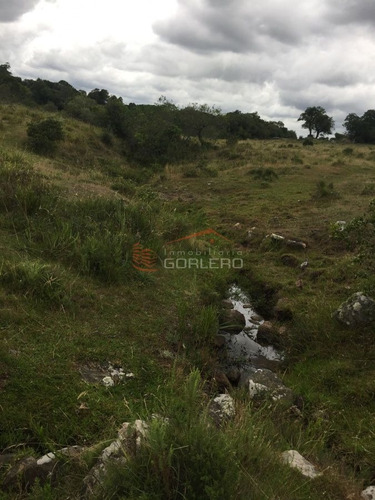 Imagen 6 de 14 de Venta De Chacra En Zona De Ruta 39 A 70 Km De Punta Del Este