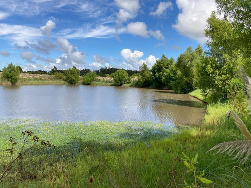 Venta Campo El Colorado