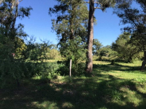 Imagen 6 de 7 de Lote A La Venta En Recreo - Sobre Ruta 70