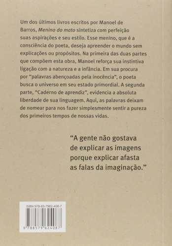 Livro Menino Do Mato De Manoel De Barros Edição 1 Em Português 2013 Editora Alfaguara
