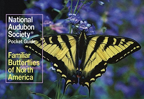 National Audubon Society Pocket Guide Familiar Butterflies O