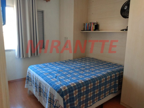 Imagem 6 de 15 de Apartamento Em Vila Mazzei - São Paulo, Sp - 373160