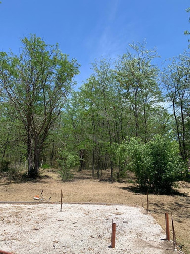 Imagen 21 de 27 de Venta - Lote Con Mejoras - Molino Blanco - Exaltación De La Cruz