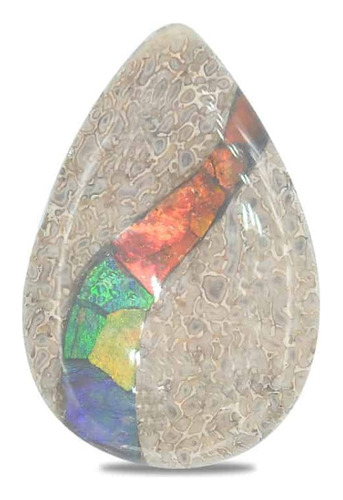 Hueso De Dinosaurio Fósil Cabujón Pera Con Ammolita 30x20mm
