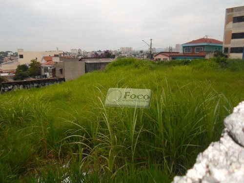 Imagem 7 de 7 de Terreno Residencial À Venda, Parque Renato Maia, Guarulhos - Te0061. - Te0061