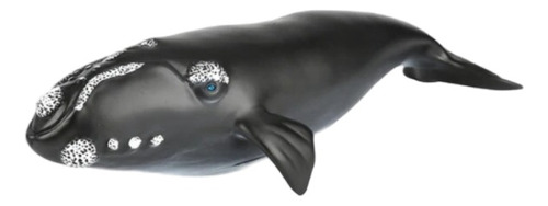 Figuras De Animales Ballena Jorobada