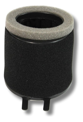 Filtro Aire Vento Workman 150 Y 190 /eclipse Y Thriller 200