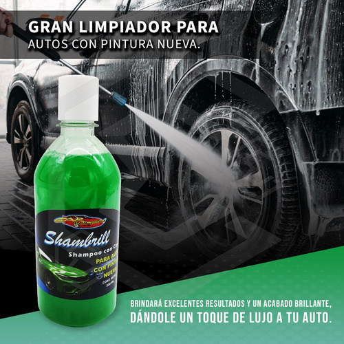 2 Shampoo Con Cera Pinturas Nuevas Limpieza Proteccion 500ml