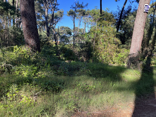Lote En Venta (ref: Bpv-9687)