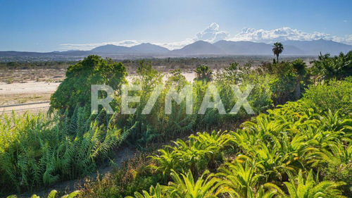 The Crown Jewel At Las Animas, San Jose Del Cabo, Mls #23-131