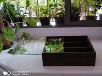 Comprar Cajas Con Tapa De Madera O Vidrio Huacales Guacales Cestas 