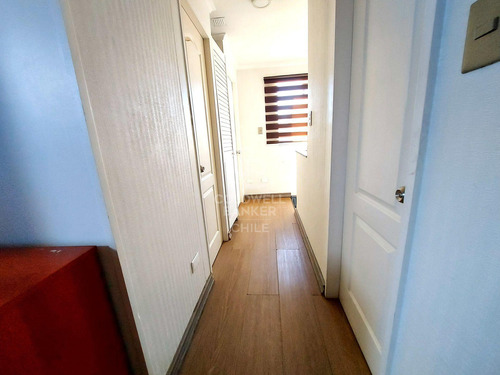 Remodelada Con Líneas Simples Y Sectores Amplios