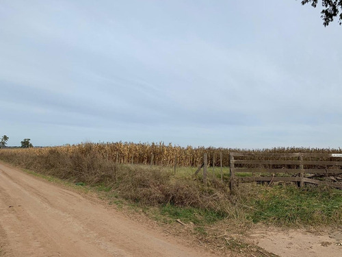 Imagen 13 de 17 de Venta- Campo De 82 Hectáreas En Goldney