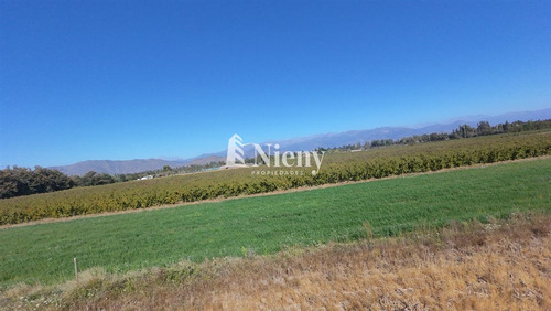 Terreno Construccion En Venta En Requínoa