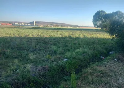 Rancho en venta