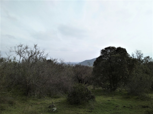 A 15 Minutos De San Fernando