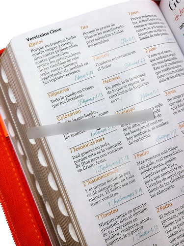 Biblia Compacta Legra Gde 11pts Naranja Indice Y Cierre