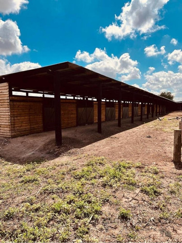 Imagen 8 de 14 de 2 Hectáreas De Campo Con 25 Boxes