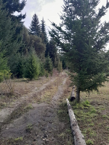 Venta Terreno / Lote Villa La Angostura