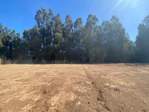 Sitio En Venta Con Luz Y Agua. Condominio Sector Mantagua.