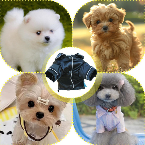 Pijamas Para Perros Ropa Para Perros Pequeños Ropa De Estar