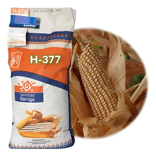 Semilla De Maiz Hibrido Blanco Cuatero H-377 Bulto 20kgs | Envío gratis