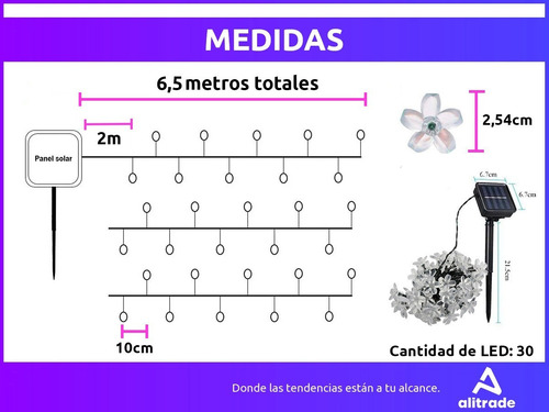 Imagen 7 de 10 de 6,5 Mts Luces Guirnalda Interior/exterior Led Flor
