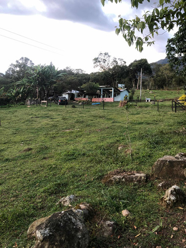 Finca En Silvania, Apta Para Cría Y Levante De Cerdos Y Aves