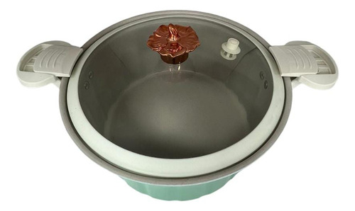 Olla Micro Presión Antiadherente 5l Genérica