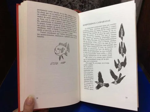 El Anillo Del Rey Salomón - Konrad Lorenz - Psicología (Usado)