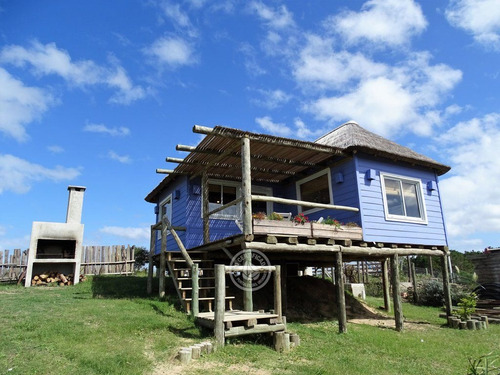 Lo De Lu - Violeta En Punta Del Diablo