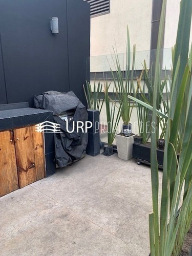 Imagen 22 de 28 de Bonito Ph En Venta, Calle Galileo Con Roof Garden Grande
