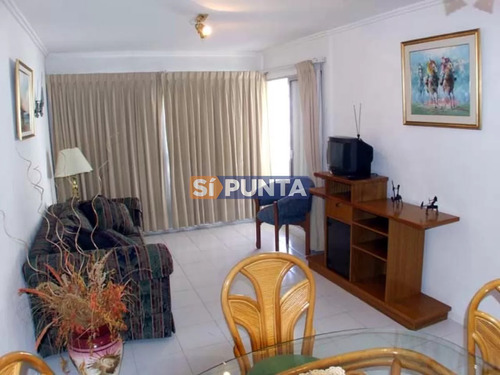 Punta Del Este Piso Alto Con Vista Al Mar! , 