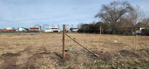 Imagen 5 de 6 de 133 Y 508 Loteo. Nuevo Emprendimiento En José Hernández.