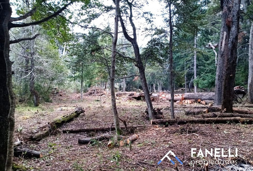 Lotes En Villa Traful (cód. 216)