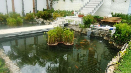 Imagem 2 de 21 de Parque Dom Henrique Ii - Térrea C/ 3 Suítes R$1.280.000,00!! - Ca0711