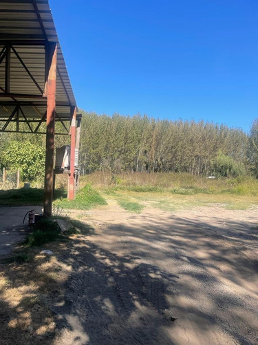 Imagen 20 de 30 de Parcela 19.000 M2 Con Casa Y Bodegas En Idahue Coltauco
