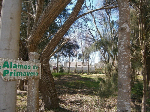 Imagen 5 de 9 de Paseo Del Bosque Manzana 160 Lote 20