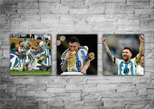 Cuadros Messi Argentina Campeón Mundial Set De 3 Unidades