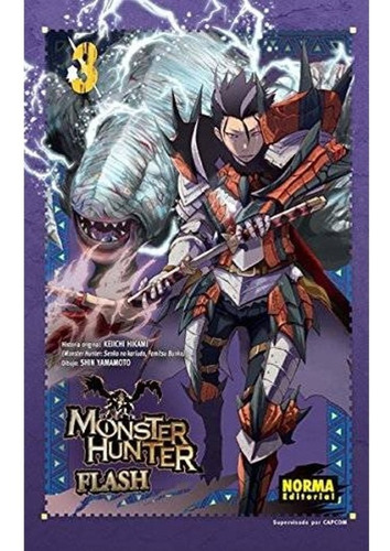 Monster Hunter Flash No. 3